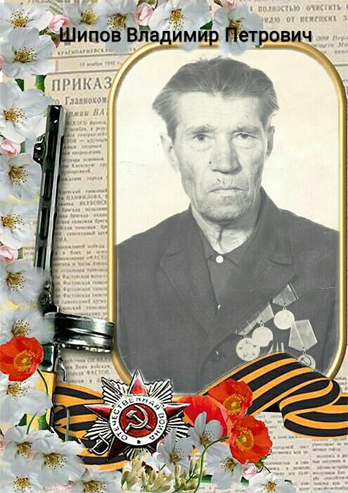 Шипов Владимир Петрович