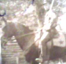 Разиньков Илья Фёдорович