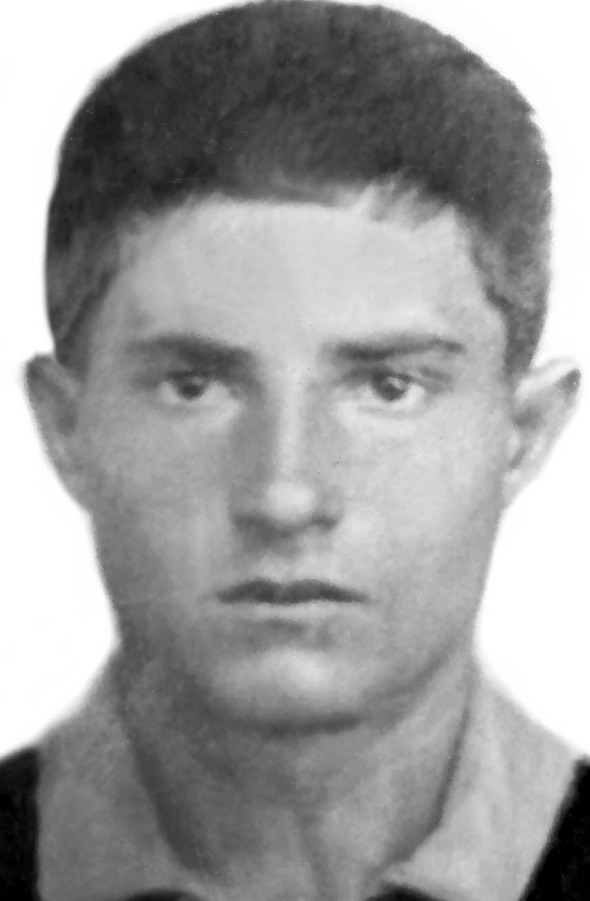 Верещагин Николай Егорович