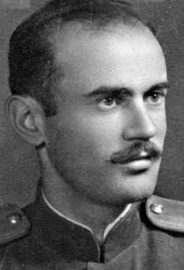 Микаелян Дмитрий Арамович